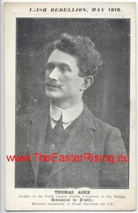 Postcard Irish Rebellion Thomas Ashe 