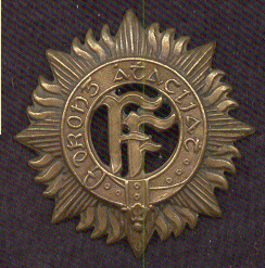Dublin Brigade Cap Badge