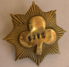 star shaped badge