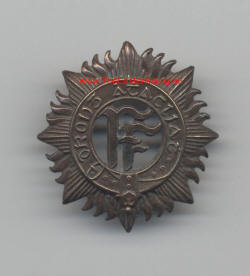 1915Dublin Brigade Cap Badge
